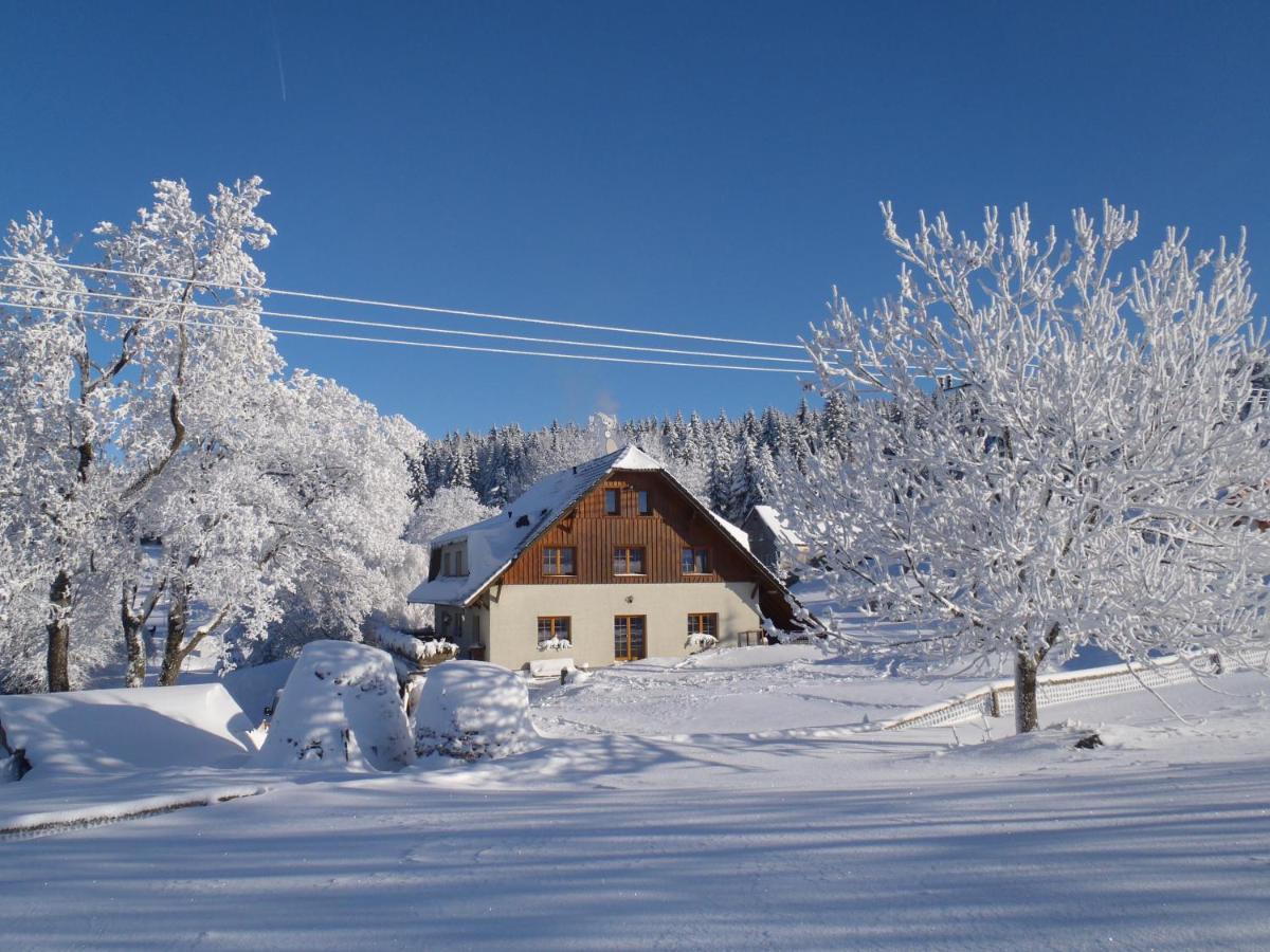 Bedřichov Penzion Sehnoutkovi מראה חיצוני תמונה
